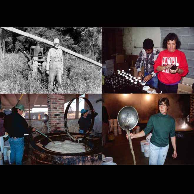 Four pictures of people making cane syrup