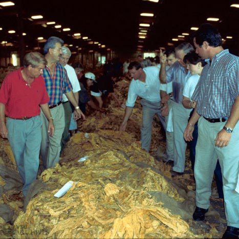 Men look at bales of tobacco in a warehouse