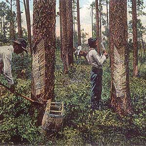 Painting of a Turpentine Crew at work in the forest
