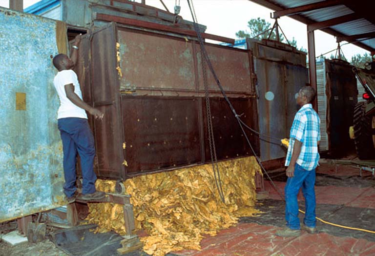 Two workers process tobacco in a large machine.