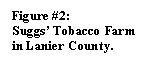 Text Box: Figure #2:
Suggs� Tobacco Farm in Lanier County.
 
