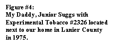 Text Box: Figure #4:
My Daddy, Junior Suggs with Experimental Tobacco #2326 located next to our home in Lanier County in 1975.