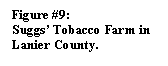 Text Box: Figure #9:
Suggs� Tobacco Farm in Lanier County.
 
