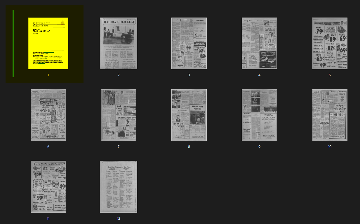 Adobe Acrobat Organize Pages view showing the cover page being inserted before the access PDF.