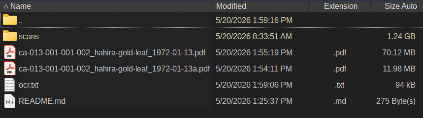 Completed ABBYY output files in the item folder